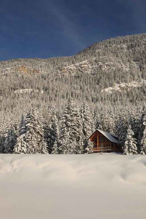 Mount 7 Lodges Golden Exterior photo